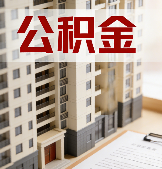 河北公积金代办行业新生态：从“跑腿中介”到“生活管家”的进化之路